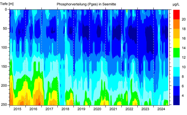 Abbildung 2: Gesamtphosphorverteilung in Seemitte zwischen Fischbach und Uttwil von 2015 bis 2024