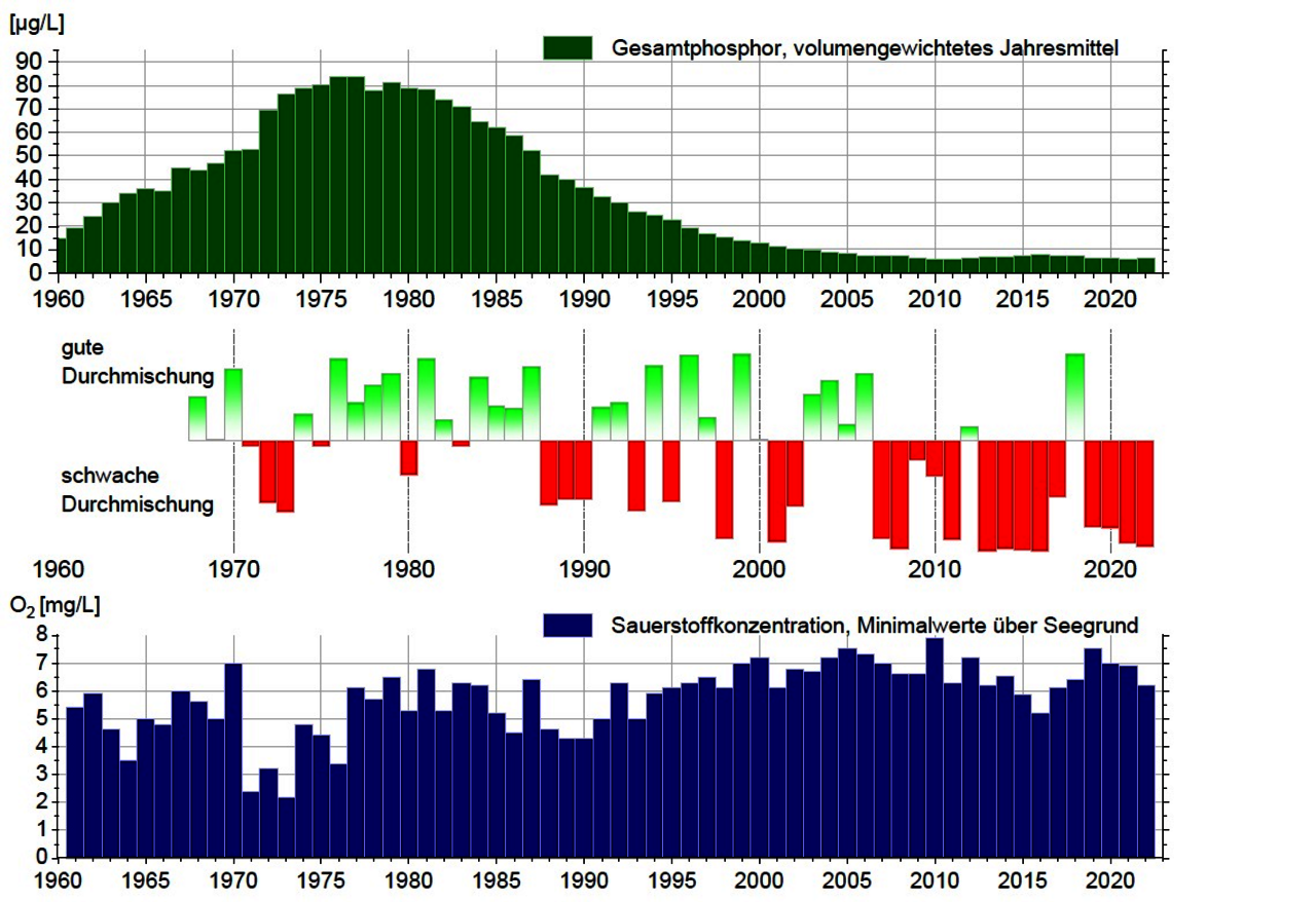 Abbildung 1: Langfristige Entwicklung der Gesamtphosphorkonzentrationen, der Zirkulation und der minimalen Sauerstoffkonzentrationen über Grund im Bodensee-Obersee zwischen Fischbach und Uttwil)