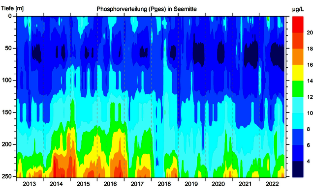 Abbildung 2: Gesamtphosphorverteilung in Seemitte zwischen Fischbach und Uttwil von 2012 bis 2021