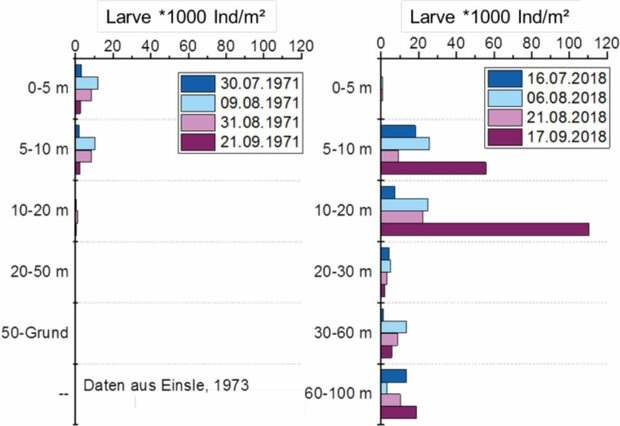 Grafik: Vergleich der Tiefenverteilung der Dreissena-Larven im Bodensee zwischen Beprobungen in den Jahren 1971 und 2018